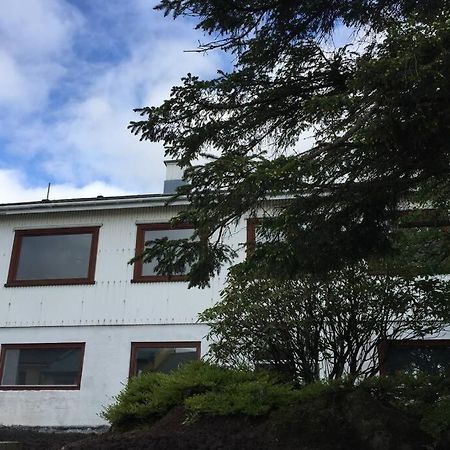 The Perfect Base In Torshavn 아파트 외부 사진