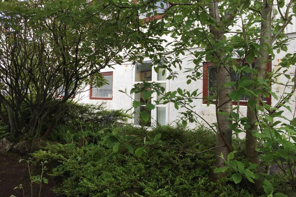 The Perfect Base In Torshavn 아파트 외부 사진